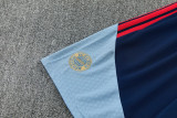 2026-27 Bayern Royal blue Training Short Suit