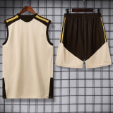 2026-27 Flamengo Khaki Tank top and shorts suit