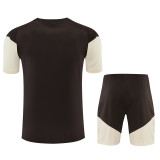 2026-27 Flamengo Brown Training Short Suit