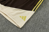 2026-27 Flamengo Brown Tank top and shorts suit