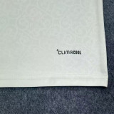 2026-27 Spain Away 2 Stars Fans Soccer Jersey (带2颗星)