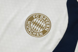 2026-27 Bayern Khaki Training Short Suit #J26046