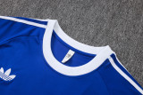2026-27 Argentina Fancy blue Training Short Suit #J26051