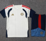 2026-27 Bayern Khaki Training Short Suit #J26046