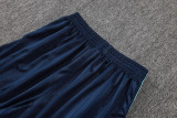 2026-27 Germany Light green Training Short Suit #J26043