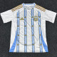 2026-27 Argentina White Special Edition Training shirts (金边)