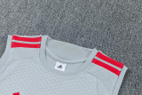 2026-27 LIV Gray Tank top and shorts suit