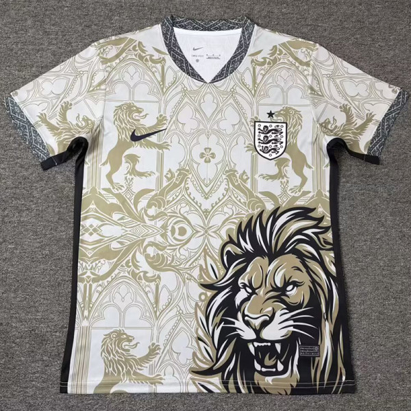 2026-27 England Khaki Special Edition Training shirts (狮)