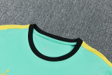 2026-27 Brazil Jordan Light green Training Short Suit