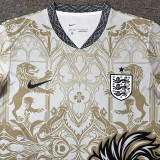 2026-27 England Khaki Special Edition Training shirts (狮)