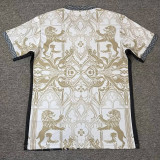 2026-27 England Khaki Special Edition Training shirts (狮)