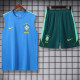 2026-27 Brazil Light blue Tank top and shorts suit