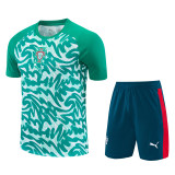 2026-27 Portugal Green Training Short Suit