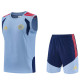 2026-27 Bayern Gray Blue Tank top and shorts suit
