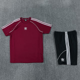 2026 AD15 Brown Red Training Short Suit