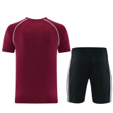 2026 AD15 Brown Red Training Short Suit