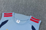 2026-27 Bayern Gray Blue Tank top and shorts suit