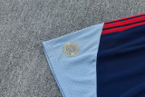 2026-27 Bayern Gray Blue Tank top and shorts suit