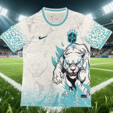 2026-27 Brazil Blue White Special Edition Training shirts