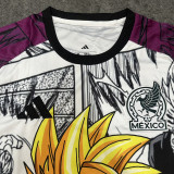 2026 Mexico Special Edition Fans Training Shirts (动漫版)