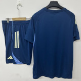 2026-27 Fulham Lake blue Training Short Suit