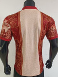 2026-27 Spain Special Edition Player Version Training shirts