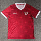 2026-27 Wales Sudu Home Fans Soccer Jersey