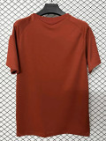 2026-27 Sevilla Brown‌ Training shirts
