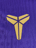 2026-27 BAR Purple Player Version Training Vest (球员版)