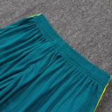 2026-27 Brazil Green Player Version Training Shorts Pants (球员短裤)