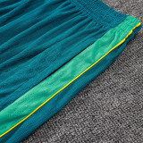 2026-27 Brazil Green Player Version Training Shorts Pants (球员短裤)