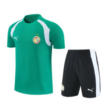 2026-27 Senegal Green Training Short Suit