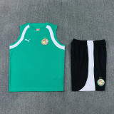 2026-27 Senegal Green Tank top and shorts suit