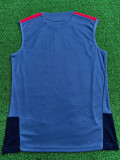 2026-27 Bayern Grey ‌Player Version Training Vest (球员版)