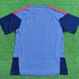 2026-27 Bayern Grey Player Version Training Short Suit (球员短套装)