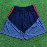 2026-27 Bayern Blue Grey Player Version Training Shorts Pants (球员短裤)