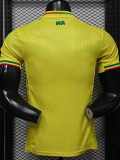 2026-27 Mali Away Player Version Soccer Jersey (WA)