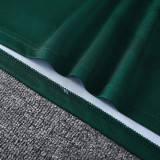 2026-27 LIV Dark green Training Short Suit