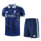 2026-27 LIV Royal blue Training Short Suit