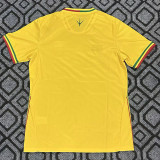 2026-27 Mali Away Fans Soccer Jersey (WA)