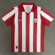 2026-27 PSV Anniversary Edition Fans Soccer Jersey
