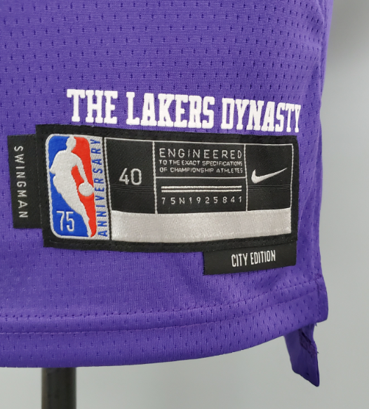 Lakers NBA City version jersey shirt pruple James 6