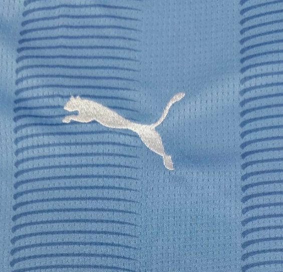 Manchester City 2023/2024 home shirt haaland (Default golden 2023 patch)