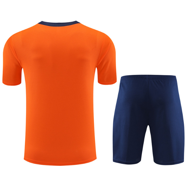 Netherlands 2024 short sleeve and shorts tracksuit orange