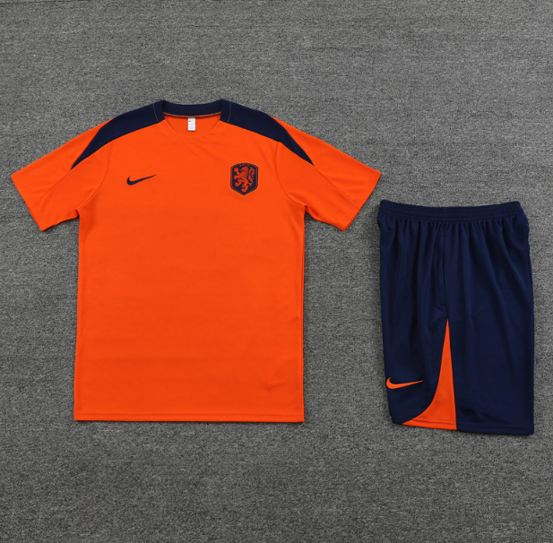 Netherlands 2024 short sleeve and shorts tracksuit orange
