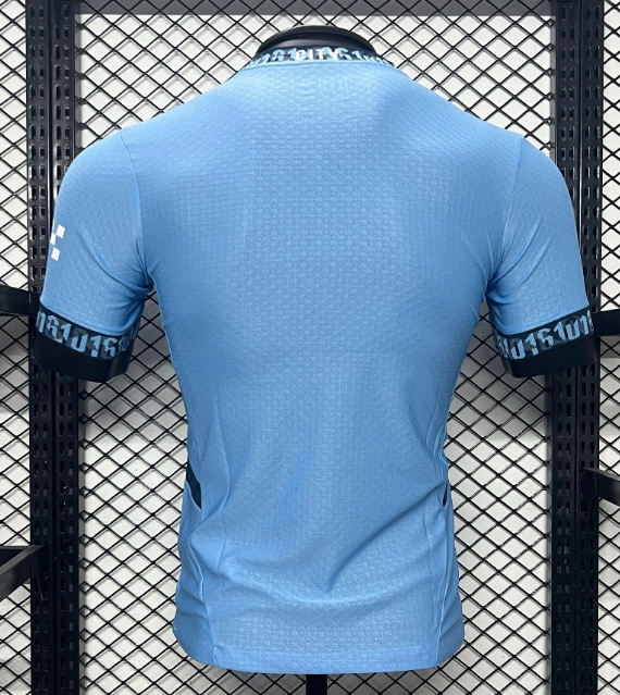 Manchester City 2024/2025 home shirt player version haaland