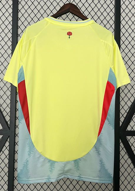 Spain 2024 away shirt