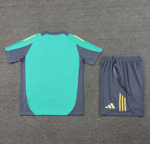 Ajax 2024/2025 short sleeve and shorts tracksuit light green