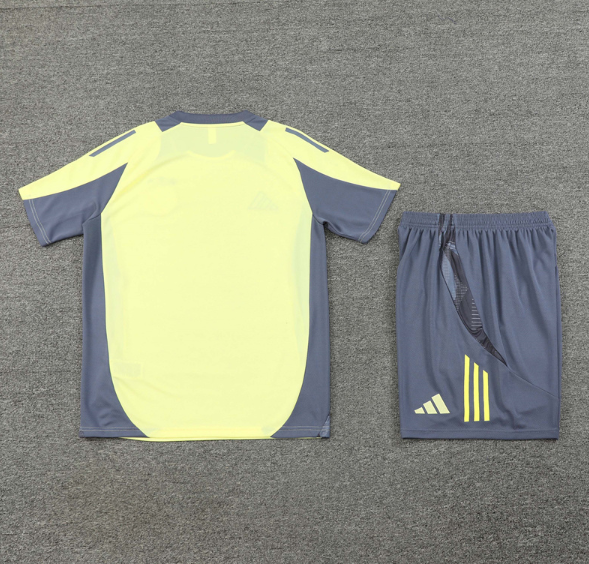Ajax 2024/2025 short sleeve and shorts tracksuit yellow