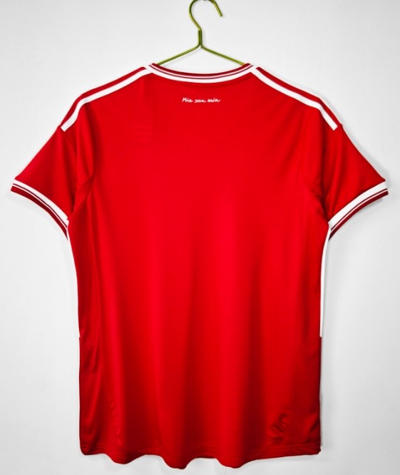 Bayren 2013/2014 home retro shirt (2013 UCL final version)